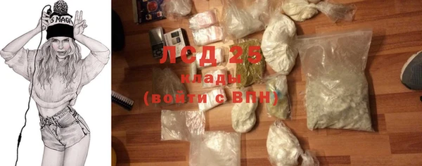 ПСИЛОЦИБИНОВЫЕ ГРИБЫ Елизово