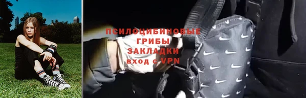 ПСИЛОЦИБИНОВЫЕ ГРИБЫ Елизово