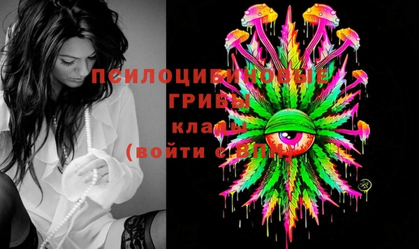 гашиш Заводоуковск