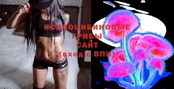 ПСИЛОЦИБИНОВЫЕ ГРИБЫ Елизово