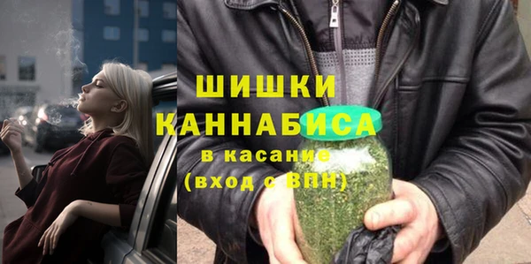 скорость Ельня