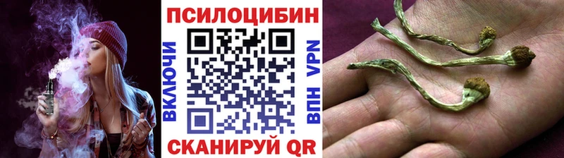 Псилоцибиновые грибы прущие грибы  Купить где  Харовск 